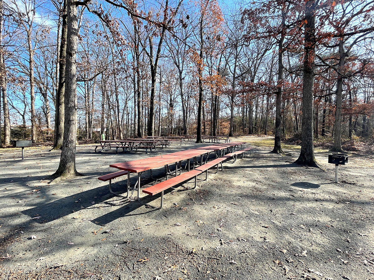Lewis High Picnic Area