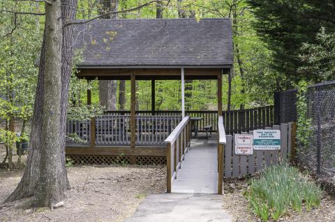 Burke Lake Shelter D