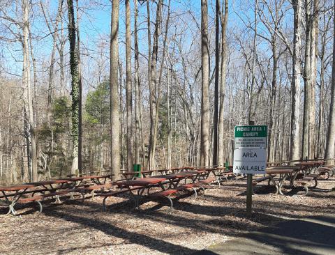 Lake Accotink Picnic Area 1 Canopy 