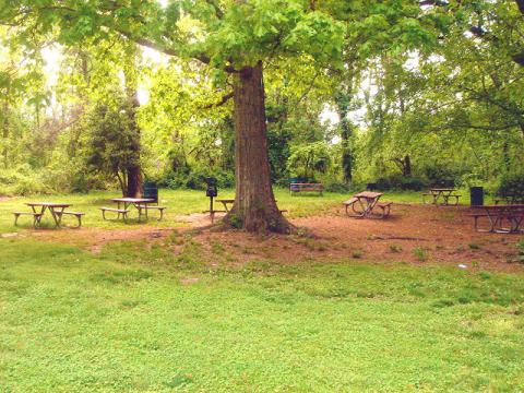 Mason District Picnic Area 