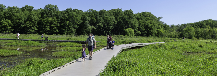 image of people walking on boardwalk