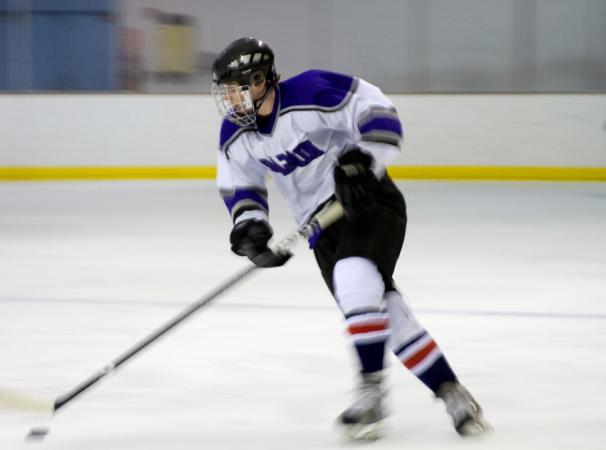 Mount Vernon Recenter Ice Arena Park Authority