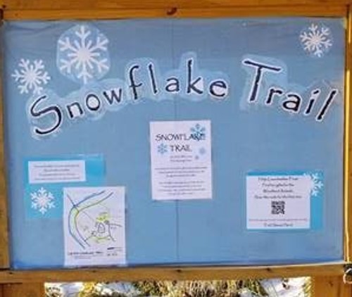 Snowflake