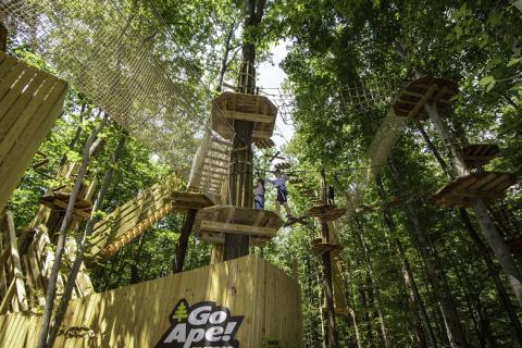 Go Ape And Swing Through The Treetops At South Run Park Park Authority