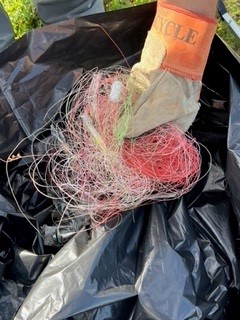 Kite Filament