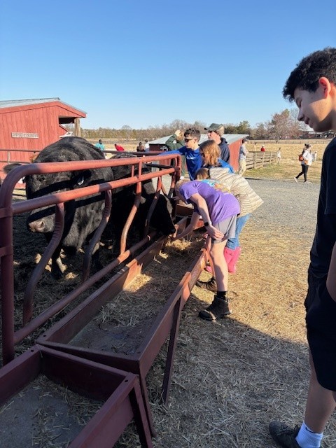 frying pan farm park scouts