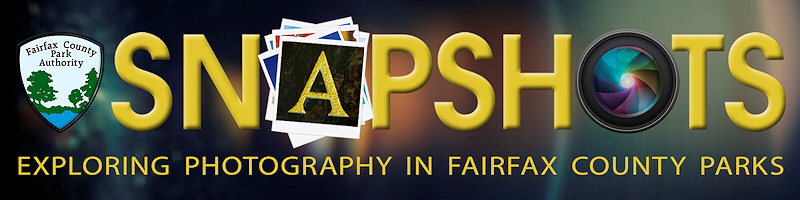 Snapshots
