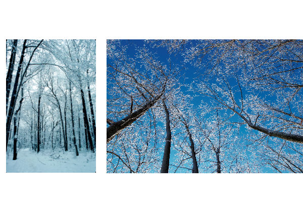 Photo Classes - Nature Photography