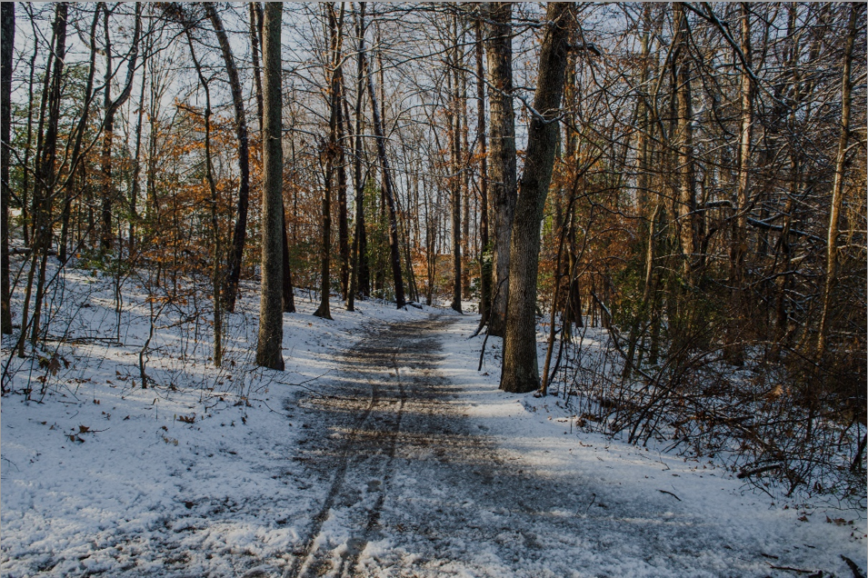 Sharpen your Focus with Park Photography Classes