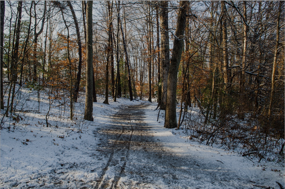 Sharpen your Focus with Park Photography Classes 