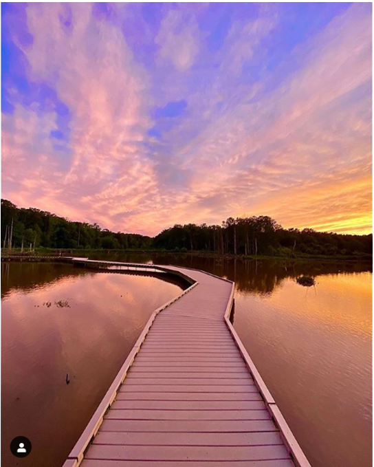 Record-breaking Photo of Huntley Meadows