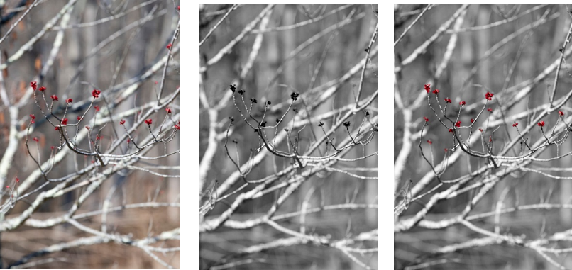 For the Best B&W Photos, Shoot in Color