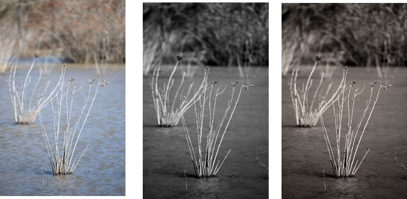 For the Best B&W Photos, Shoot in Color