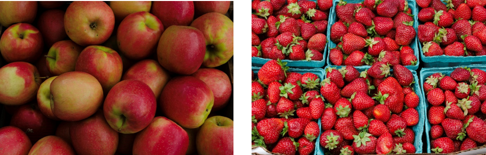Shop for Veggies & Photo Ops at Local Farmers Markets