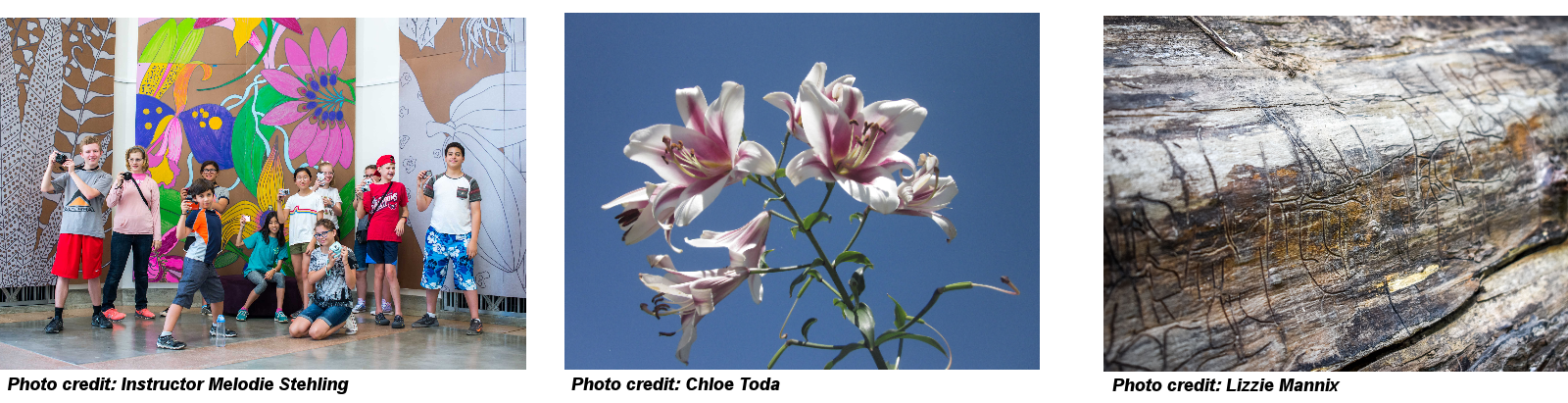 Budding Nature Photographers Share Their Best Images
