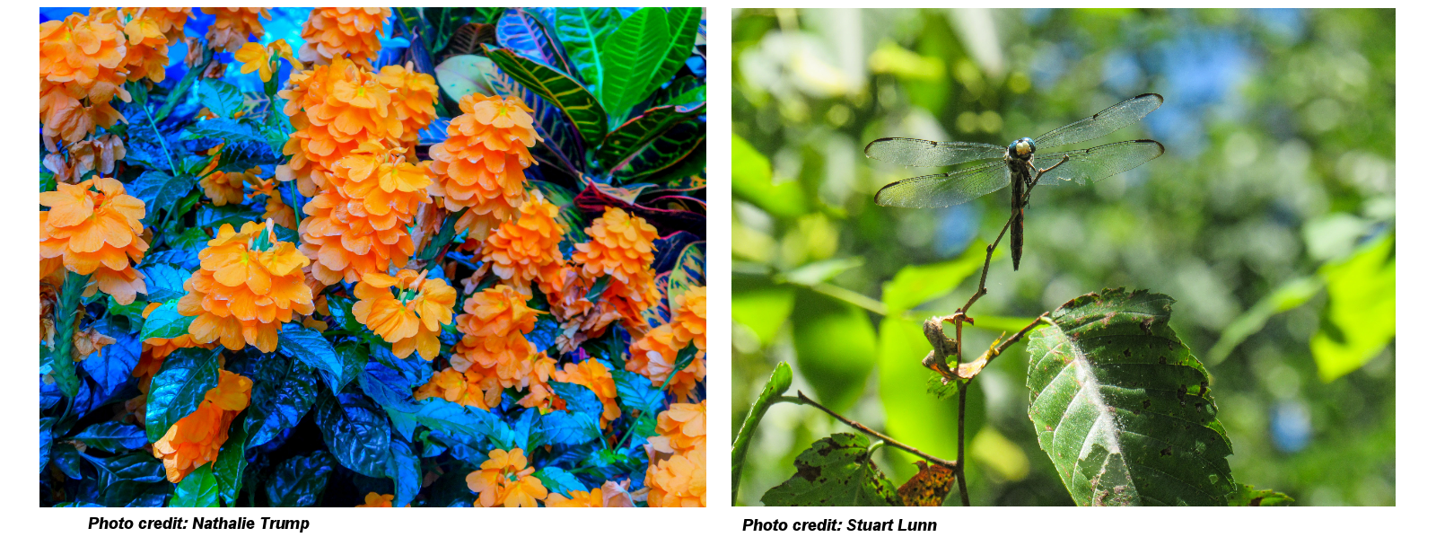 Budding Nature Photographers Share Their Best Images