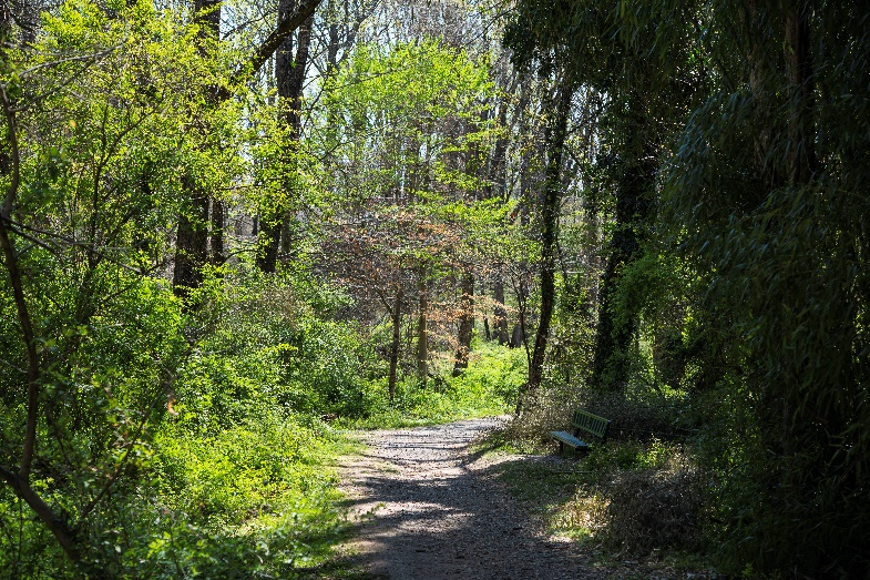 Find your Distance with Nature Photography Classes