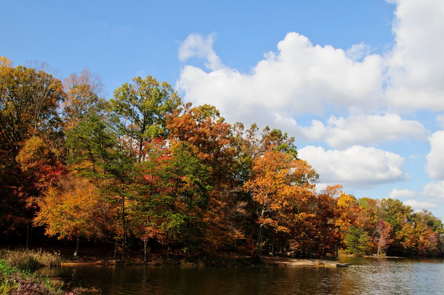 Sharpen your Focus with Park Photography Classes
