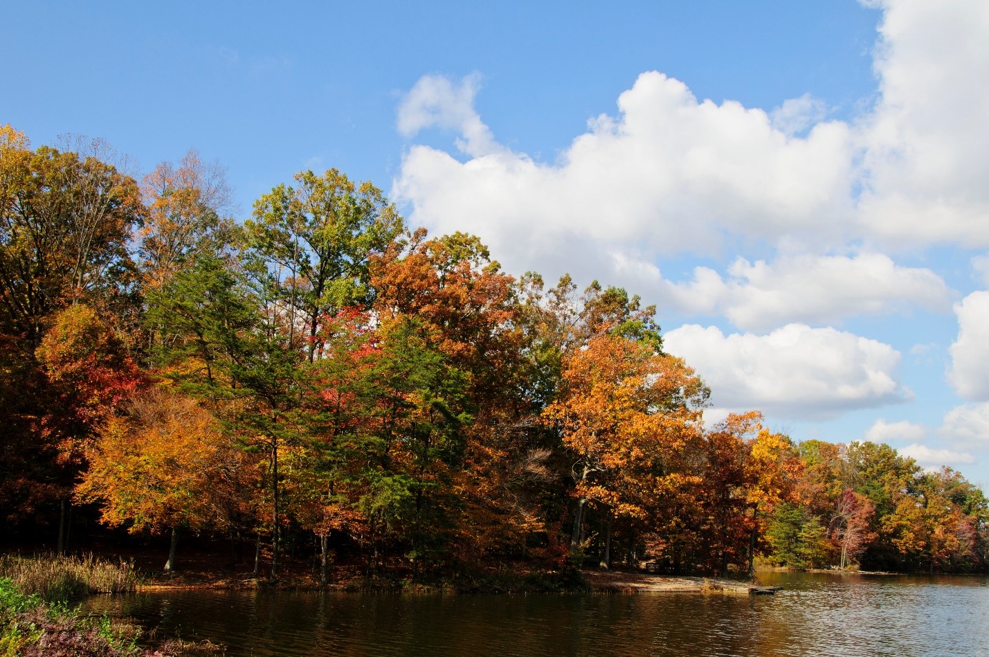 Sharpen your Focus with Park Photography Classes 