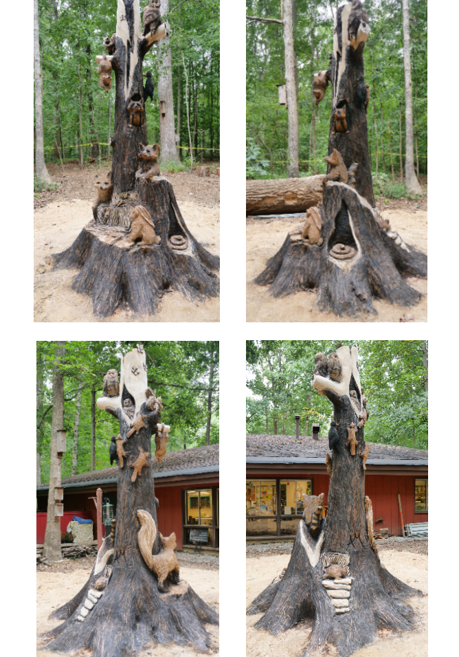 Chainsaw Wood Carver