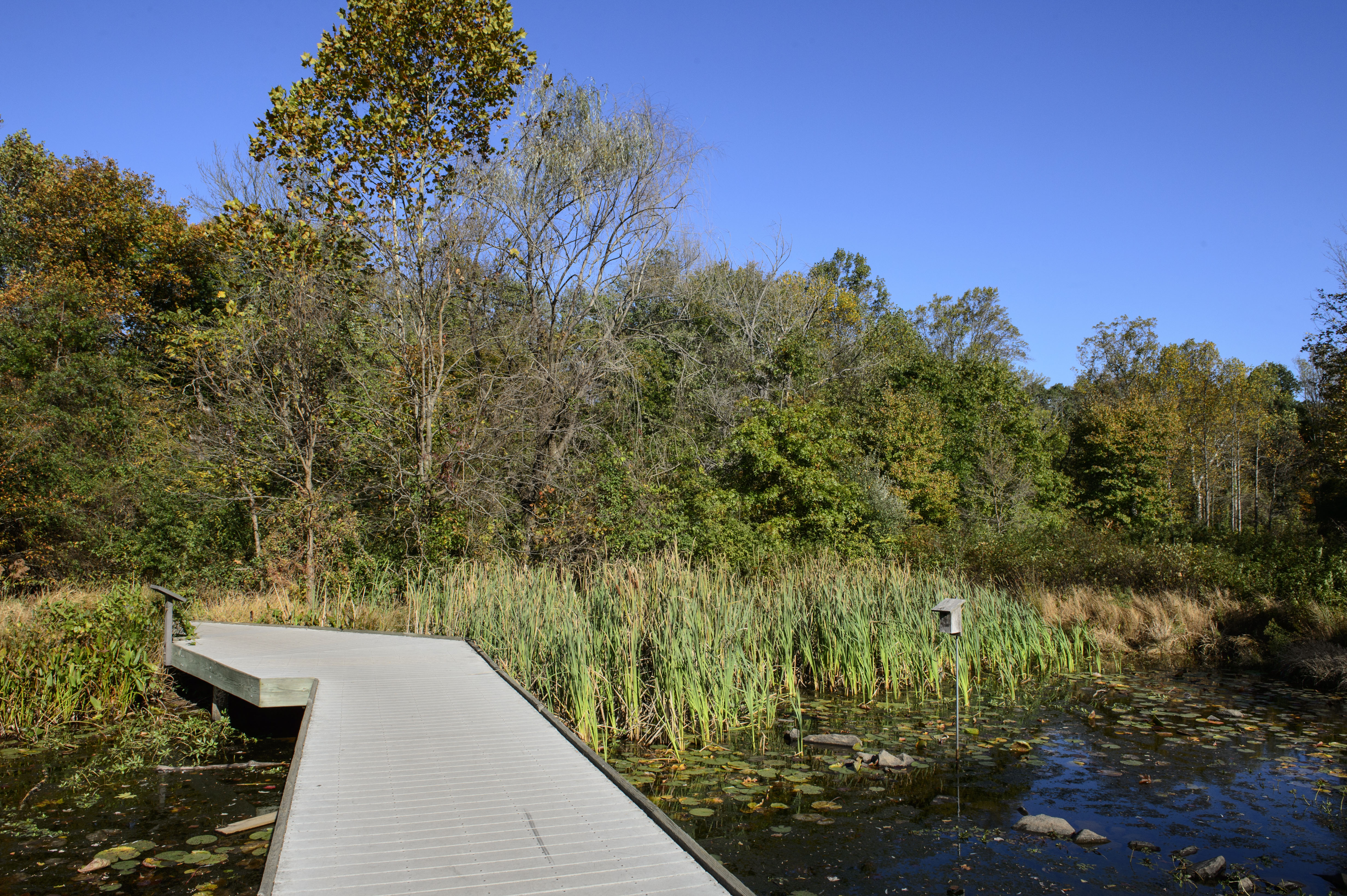 Go Wild for Photography at Ellanor C. Lawrence Park