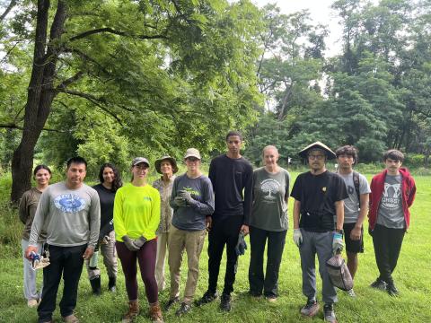 Volunteers at work