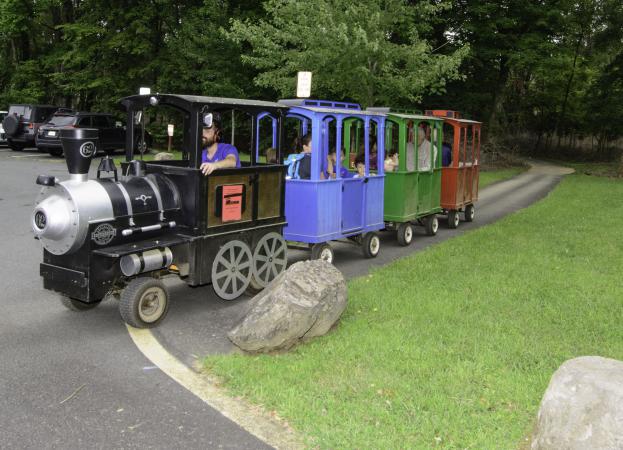 Clemyjontri Trackless Train