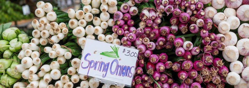 a large pile of spring onions for sale at Lorton Farmers Market