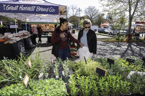 Farmers Market