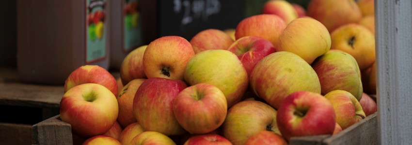 apples at the Burke Farmers Market