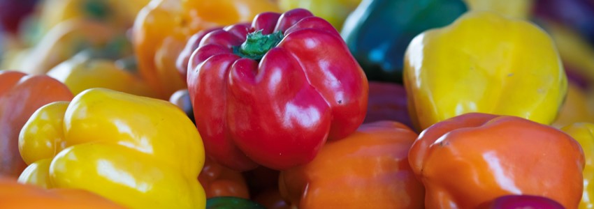 red, yellow, and orange bell peppers at the McLean Farmers Market