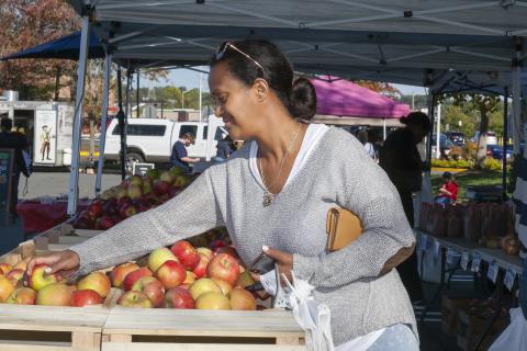 volunteer with the fairfax county farmers markets