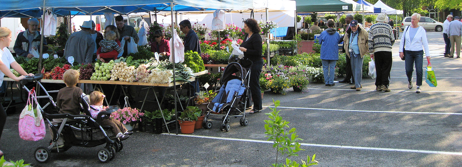 Farmers Market