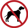 no pet allowed icon