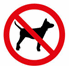 No pets