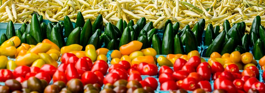 grape tomatoes, green peppers, and beans at Wakefield Farmers Market