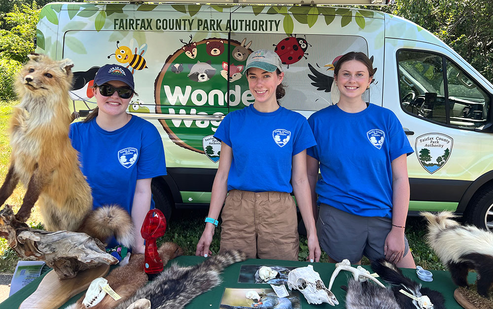 Wonder Wagon Summer Park Activation Schedule
