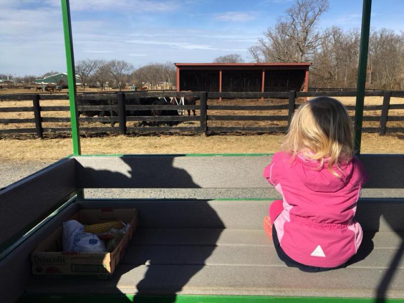 Get Back Outside with Outdoor Park Programs