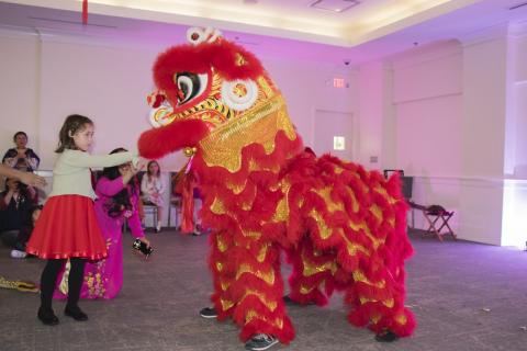 Lunar New Year Celebration