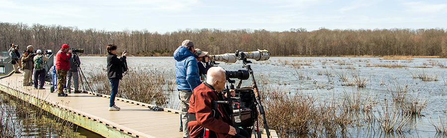 huntley meadow bird watching