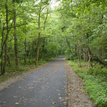 picture of a trail for National Trails Day