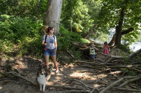 a family hiking on a trail with their dog
