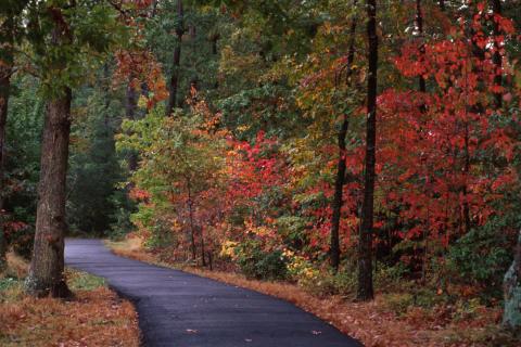 fall trails