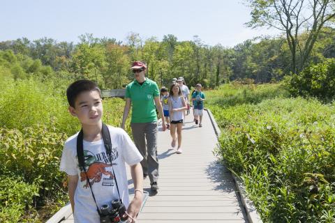 People walking at Huntley Meadows Park