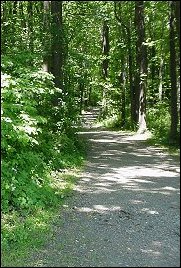 Hiking trail