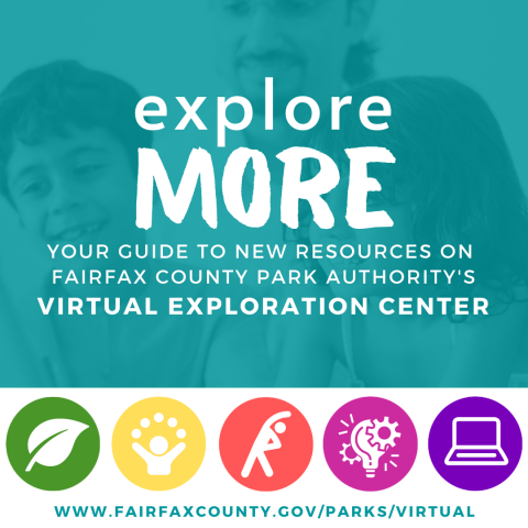 virtual exploration center