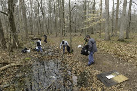 Volunteers cleaning watershed