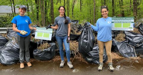 Volunteers