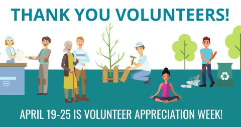 Volunteer appreciation