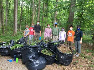 Scouts working on a cleanup project